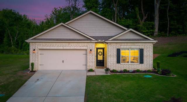 Photo of 107 Colonial Cv, Munford, TN 38058