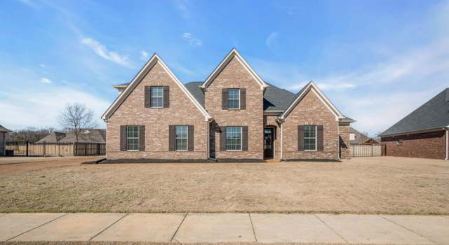 Photo of 8868 Mt Hill Dr, Bartlett, TN 38002