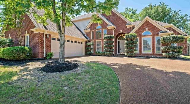 Photo of 12223 Snyderwood Dr, Arlington, TN 38002