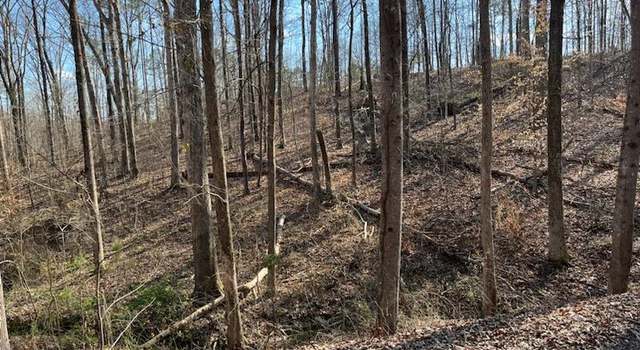 Photo of LOT 57 Springbrook Dr Lot 57, Counce, TN 38326