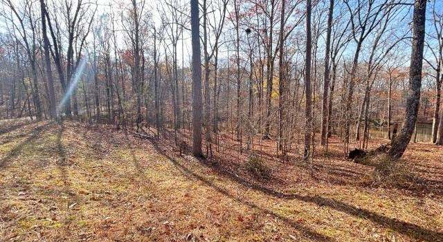 Photo of 30 Lakewood Dr, Unicorp/saulsbury, TN 38067
