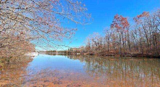 Photo of 66 Lakewood Dr, Unicorp/saulsbury, TN 38067