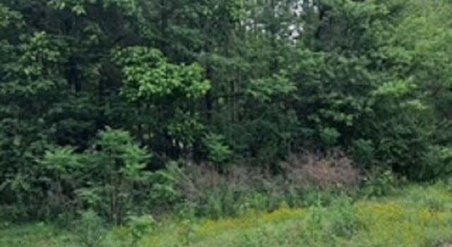 Photo of 21 Murphy Ln, Burlison, TN 38015