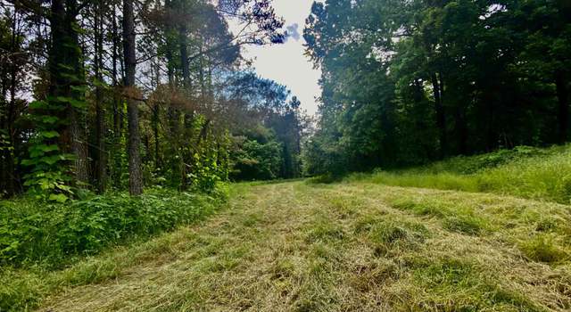 Photo of 27.19 ACRES Mckinstry Rd, Unincorporated, TN 38057