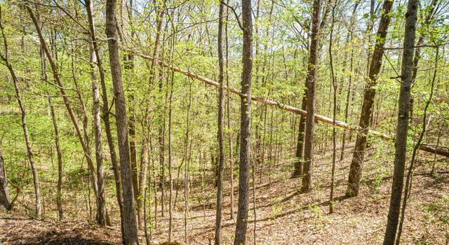 Photo of LOT 172 & 165 Fawn Ridge Rd Lot 172, Parsons, TN 38363