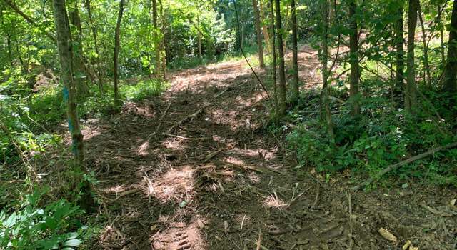 Photo of Mullins Rd, Luray, TN 38352