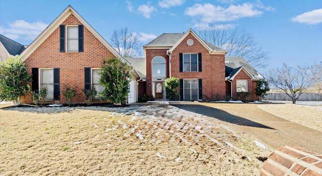 Photo of 1155 Wintergreen Cv, Cordova, TN 38018