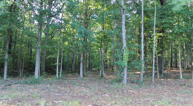 Photo of TRACT 2 Lick Creek Rd, Michie, TN 38357