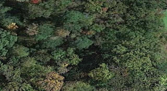 Photo of 00 Highway 179 Hwy, Whiteville, TN 38075