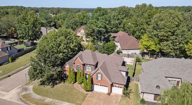 Photo of 8822 River Pine Dr, Cordova, TN 38016
