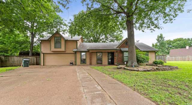 Photo of 2551 Shadyside Cv, Memphis, TN 38133