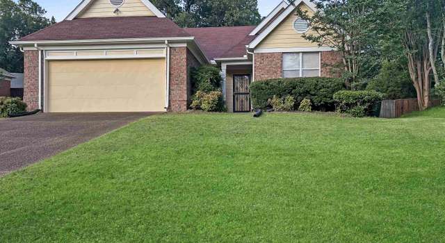 Photo of 8160 Oak Moss Cv, Cordova, TN 38018