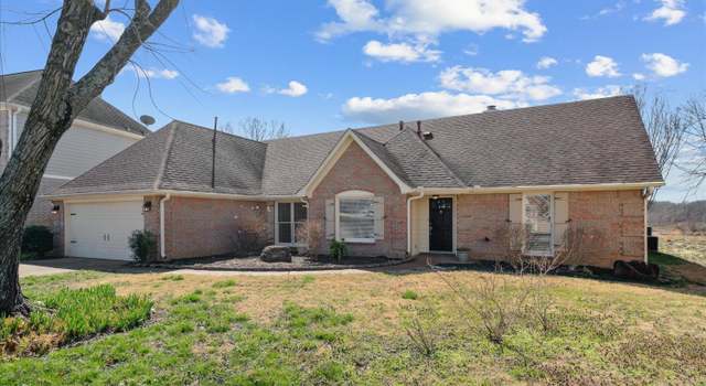 Photo of 1223 Palmina Cv, Cordova, TN 38018