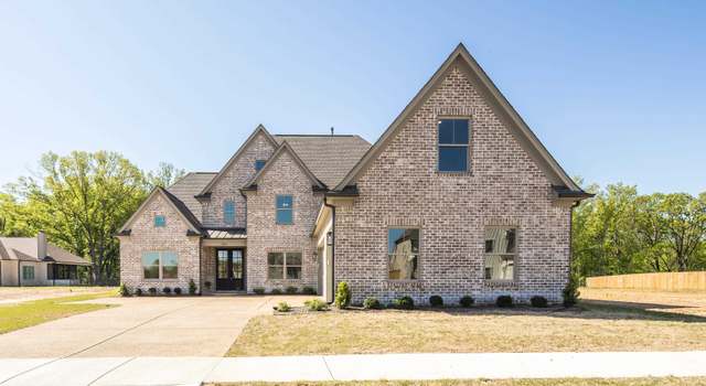 Photo of 12103 Stromness Cv, Arlington, TN 38002