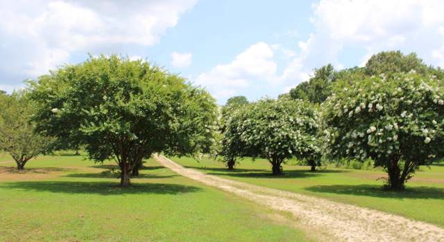 Photo of 8055 Highway 87 Hwy W, Henning, TN 38041