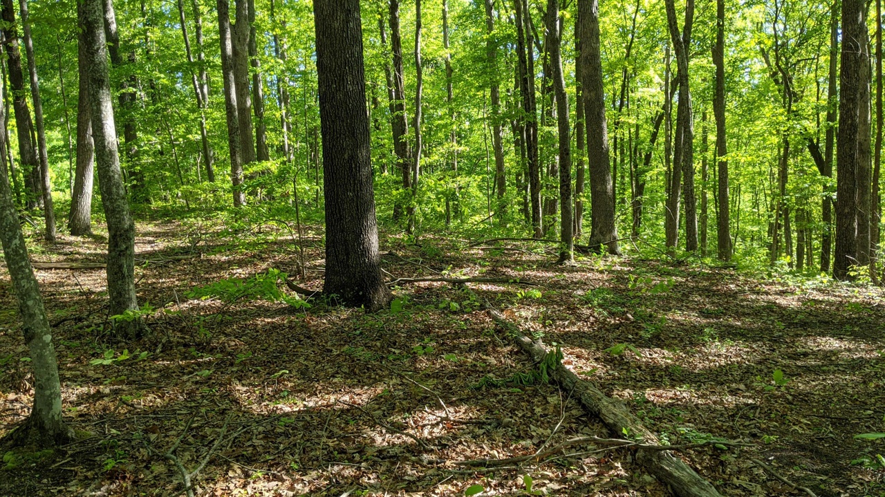 Star Point Rd, Jamestown, TN 38556 | MLS# 1148363 | Redfin
