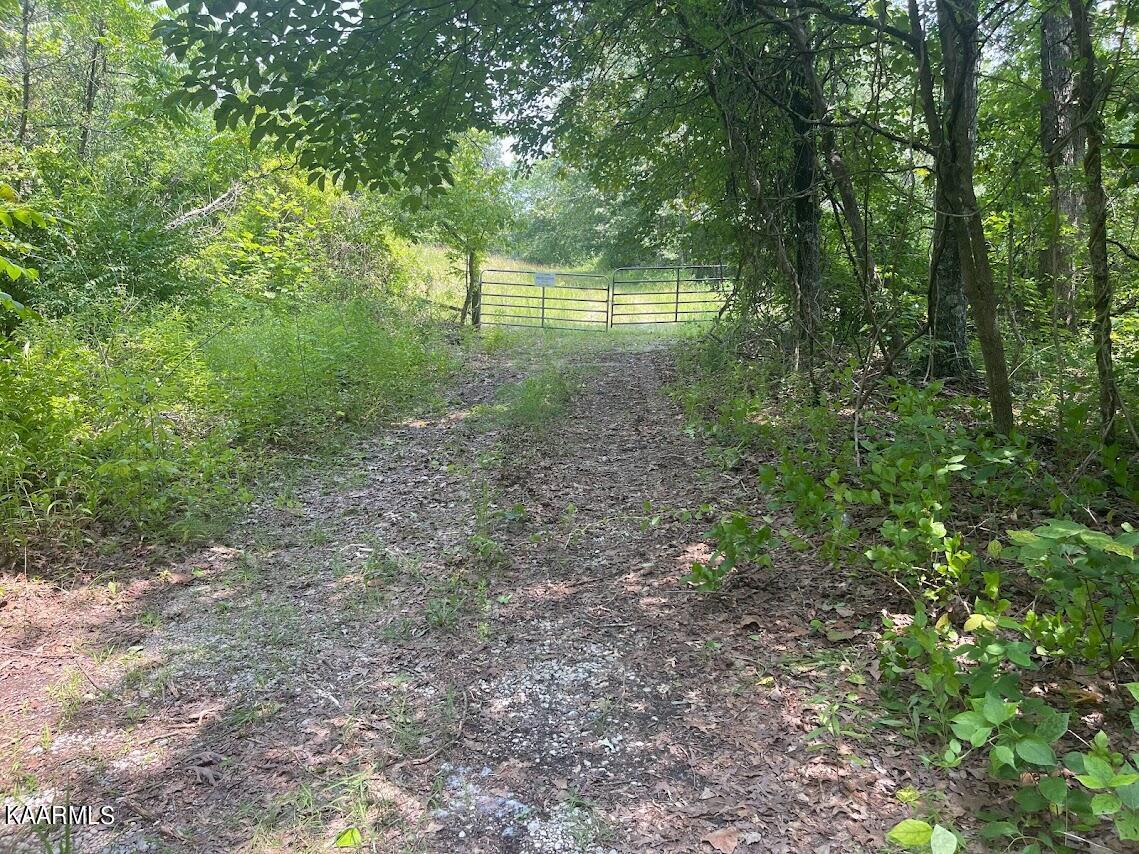 Plateau Firetower Rd Crossville TN 38571 MLS 1233595 Redfin   1233595 5 