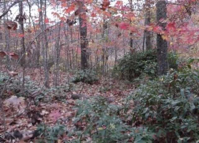 Property at Lot 349 Drew Ct, Smithville, TN 37166