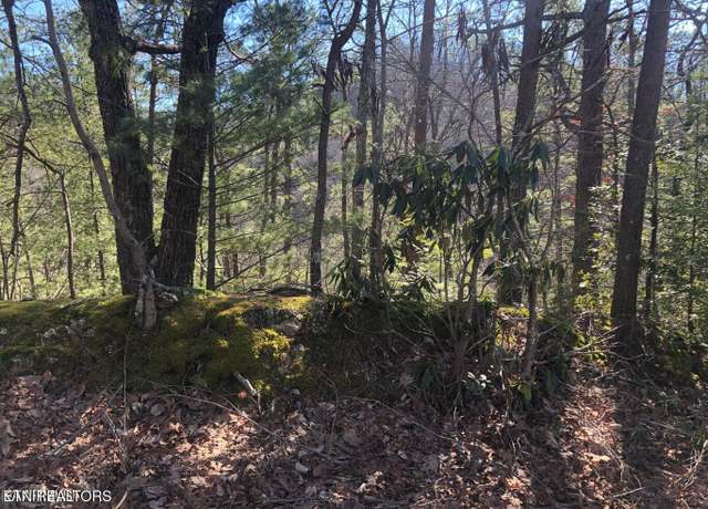 Property at 54 Magnolia Pl, Sevierville, TN 37876