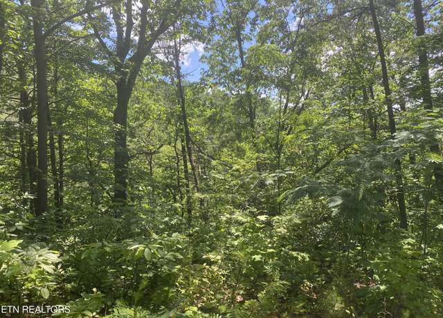 Property at 54 Magnolia Pl, Sevierville, TN 37876