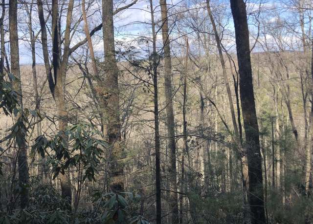 Property at 450 Holder Cemetery Rd, Tellico Plains, TN 37385