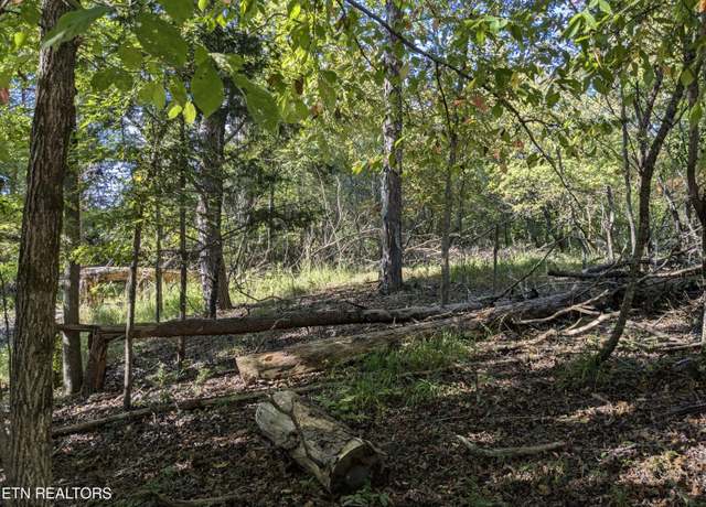Property at 0 Cherokee Cir, Ten Mile, TN 37880