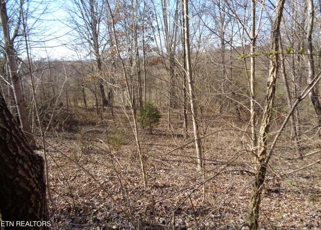 Property at 0 Holston River Dr, Rutledge, TN 37861