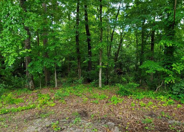 Property at 121 Ootsima Way, Loudon, TN 37774