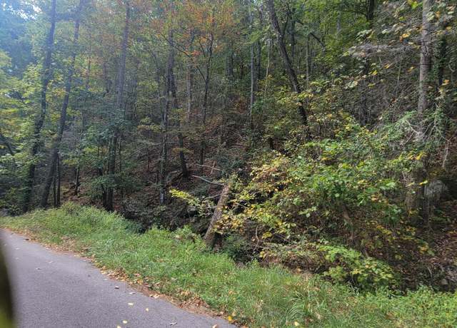 Property at Alpine Dr, Sevierville, TN 37876