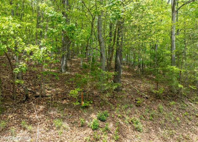 Property at 211 Wahuhu Ln, Loudon, TN 37774