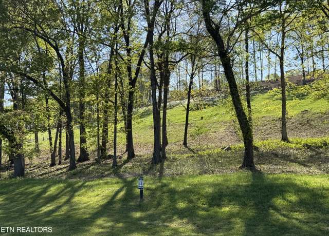 Property at 1031 Black Cove Ln, Loudon, TN 37774