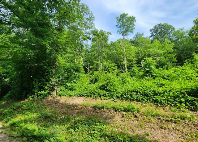 Property at 0 Elm Springs Ridge Rd, Washburn, TN 37888