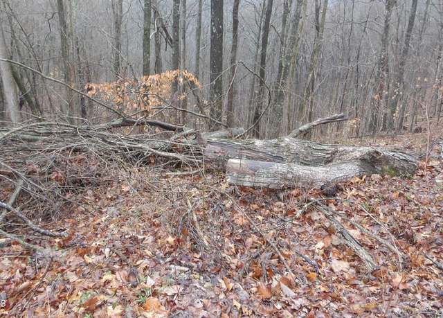 Property at Lots 17&18 Savannah, Smithville, TN 37166