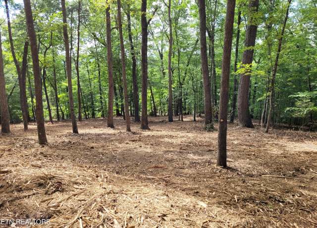 Property at Lot 146 & 147 Lakeview Dr, Sharps Chapel, TN 37866