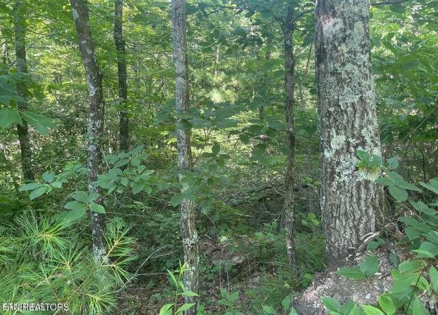 Property at Lot 71 Hazelnut Ln, Sevierville, TN 37876