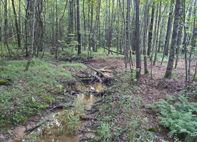 Property at Airport Rd - Lot 4 (pca), Rockwood, TN 37854