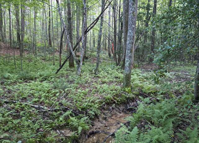 Property at Airport Rd - Lot 4 (pca), Rockwood, TN 37854
