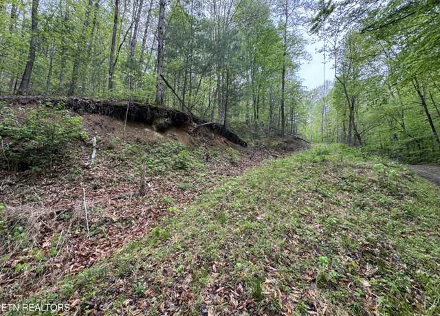 Property at 376 Summer House Hollow Rd, Del Rio, TN 37727
