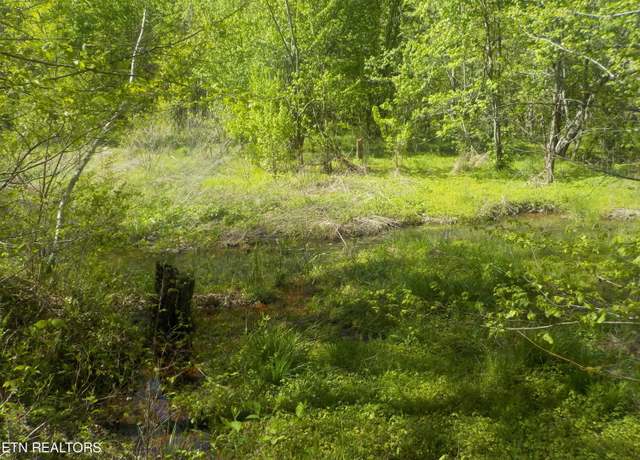 Property at Steve Brown Rd, Bean Station, TN 37708