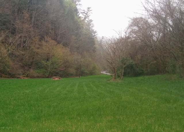 Property at Wilhite Rd, Cosby, TN 37722