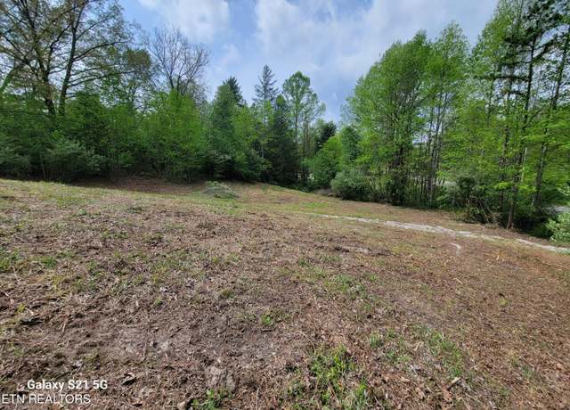 Property at 0 Big Springs Rd, Oneida, TN 37841