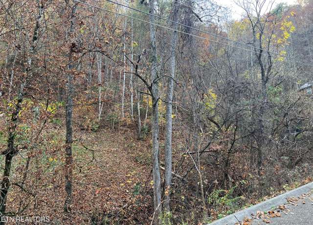 Property at Pulaski Ln, Sevierville, TN 37862