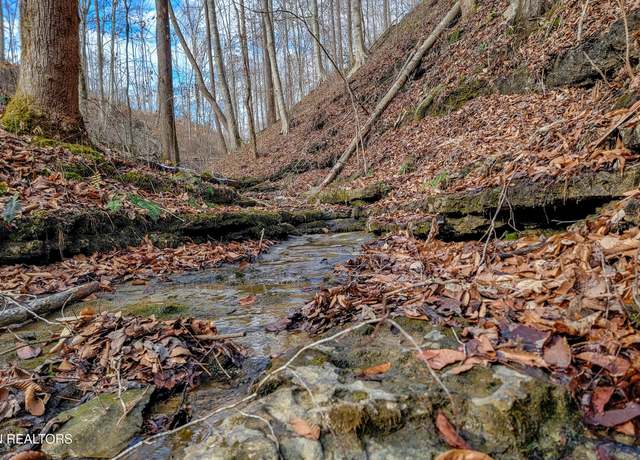 Property at 6.24 Acres Hutchings Bend Rd, Sparta, TN 38583