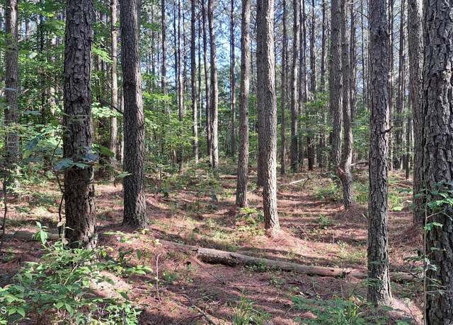 Property at Airport Rd - Lot 6 (pca), Rockwood, TN 37854