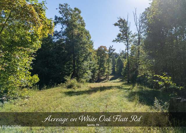 Property at 8111 White Oak Flatt Rd, Sparta, TN 38583