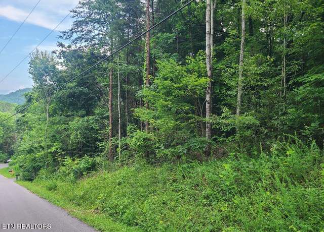 Property at Lot 30 Hawkeye Vw, Sevierville, TN 37876