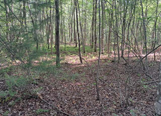 Property at Airport Rd - Lot 7 (pca), Rockwood, TN 37854