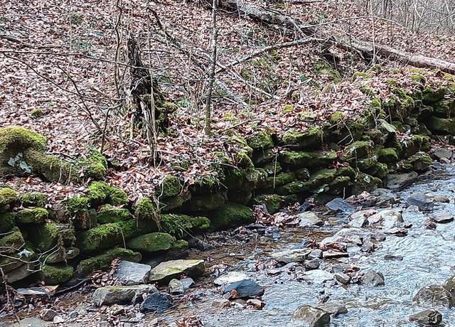 Property at Stoney Fork Rd, Caryville, TN 37714