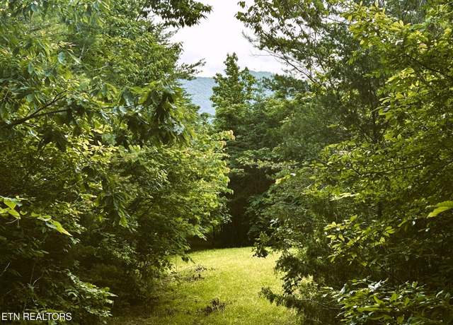 Property at 1133-1137 County Road 480, Englewood, TN 37329
