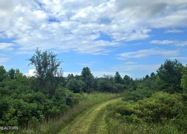 Property at Tract 1 Grassy Knob Rd, Robbins, TN 37852